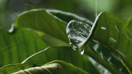 637131b7b39855231422cc4c077221ea.gif